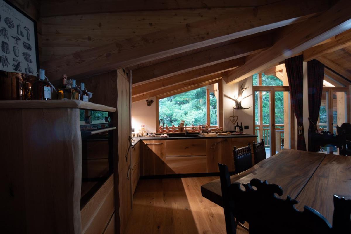 Chalet Degli Abeti By Ama Val Di Fassa Campitello di Fassa Exteriér fotografie